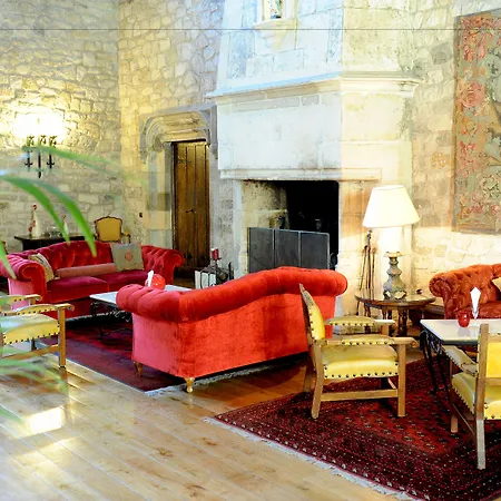 Chateau De Brindos-2